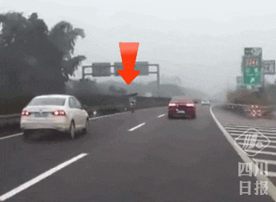 电动车高速上逆行!警方最新通报 电动车高速上逆行!警方最新通报