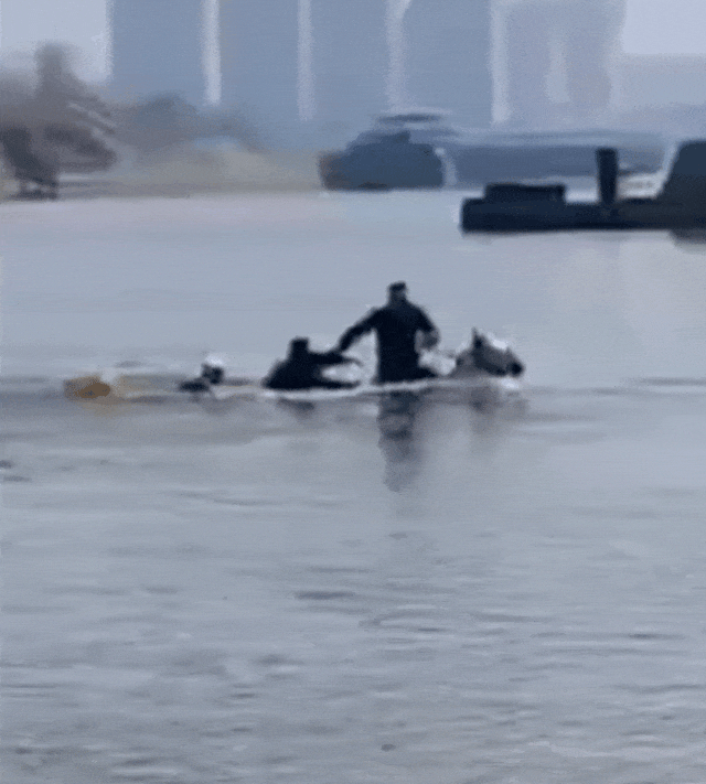 “白龙”走了,感谢英雄的马儿 “白龙”走了,感谢英雄的马儿