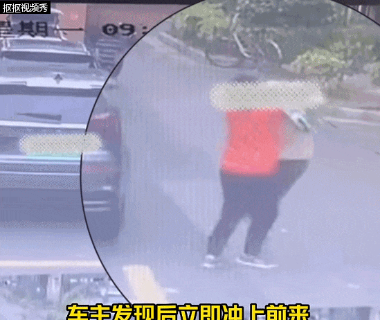 狗往车胎上撒尿!沪一阿姨遛狗遭车主殴打…法院这样判 狗往车胎上撒尿!沪一阿姨遛狗遭车主殴打…法院这样判