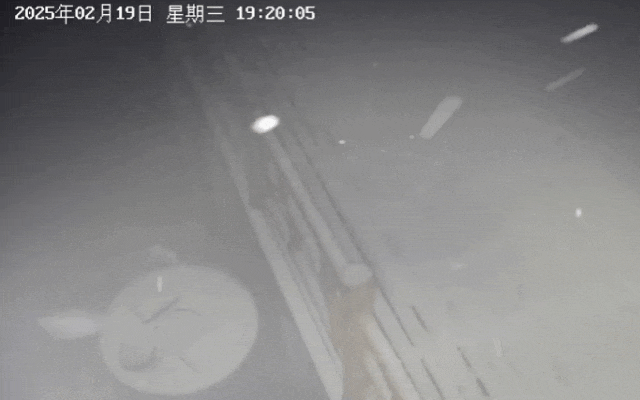 大到暴雪！最强雨雪时段来了！@全体浙江人，今天下班早点回家