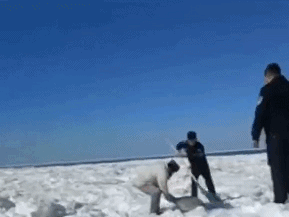 是谁家的“小萌兽”在冰面上emo啦？