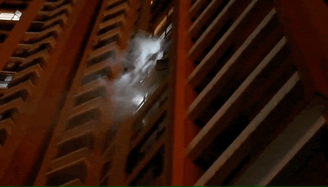 “我命由我不由天” 9岁女孩救了一栋楼！