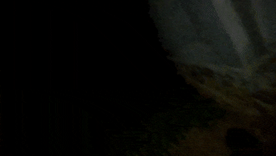 酒驾躲墙根?男子:交警就看不到我了 ! 酒驾躲墙根?男子:交警就看不到我了 !