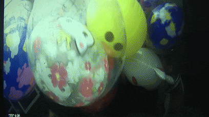 2人家中做气球,北京警方:刑拘! 2人家中做气球,北京警方:刑拘!