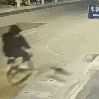 突然窜出撞飞骑车人，肇事猫“逃逸”！到底该找谁索赔？