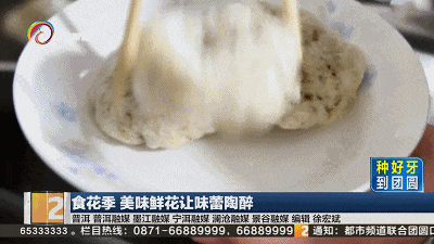 茶花、炮仗花、棠梨花…云南人的吃花季,把鸡蛋忙坏了! 茶花、炮仗花、棠梨花…云南人的吃花季,把鸡蛋忙坏了!