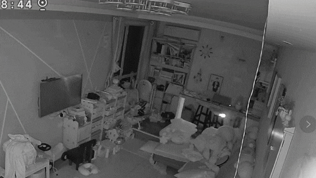 夫妻俩9块9把它买回家，不料把家给烧了！