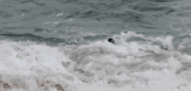 海边突发!这个剧组及多人紧急出手 海边突发!这个剧组及多人紧急出手