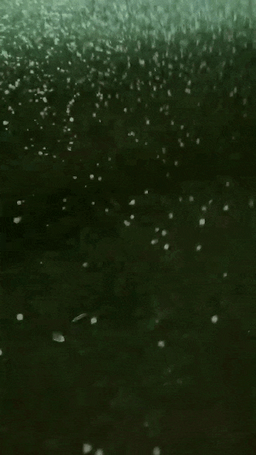 贵州7县域下冰雹,最低温将降至-3℃ 贵州7县域下冰雹,最低温将降至-3℃