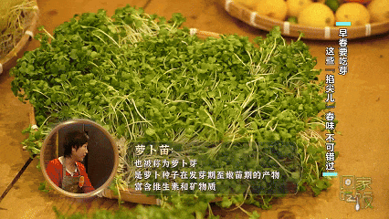 抓住春天的“鲜”机!这些养颜排毒“神菜”你吃了吗? 抓住春天的“鲜”机!这些养颜排毒“神菜”你吃了吗?