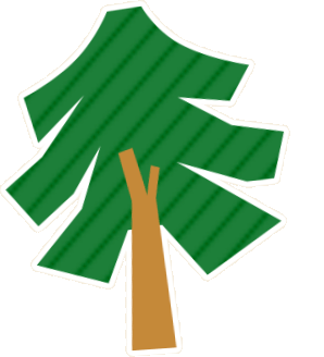 北京生物圈的鳅楸CP！一条鱼和一棵树为啥同名？