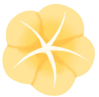 揭秘章鱼与鱼类的跨界捕猎合作：民主决策选路线，触手鞭打治偷懒