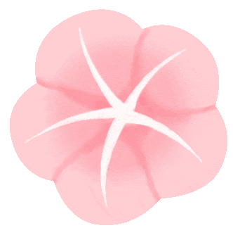 揭秘章鱼与鱼类的跨界捕猎合作：民主决策选路线，触手鞭打治偷懒