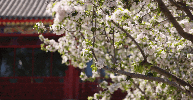 今日春分，要做这些事！