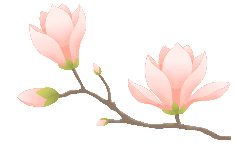 “女子伤春，男子悲秋”！医生建议：女性春天多喝好这三朵花