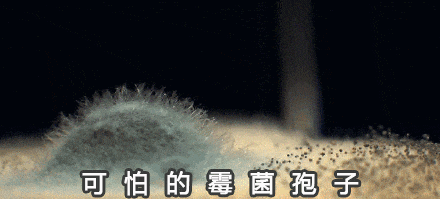 突然爆火，要价500元一个？网友：我直接扔了！紧急提醒