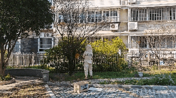 老婆被蜜蜂蜇伤!次日报警人求助“蓝朋友”排隐患 老婆被蜜蜂蜇伤!次日报警人求助“蓝朋友”排隐患