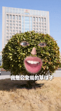 “我是公安局的草球子,我不同意你网恋花钱” “我是公安局的草球子,我不同意你网恋花钱”