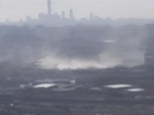 奇痒无比！一夜几百人进急诊，医生提醒：千万不要这么做