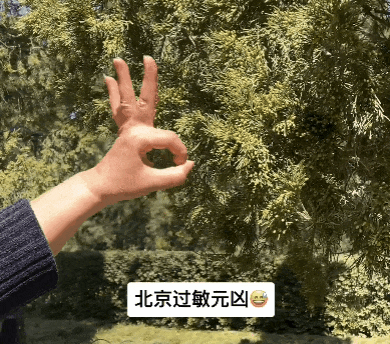 花粉似扬沙？“隔着屏幕都想打喷嚏！”一夜几百人进急诊，医生紧急提醒→