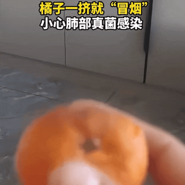 一个发霉橘子卖500元?家里剩的还扔不扔…… 一个发霉橘子卖500元?家里剩的还扔不扔……