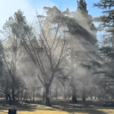 奇痒无比！一夜几百人进急诊，医生提醒：千万不要这么做