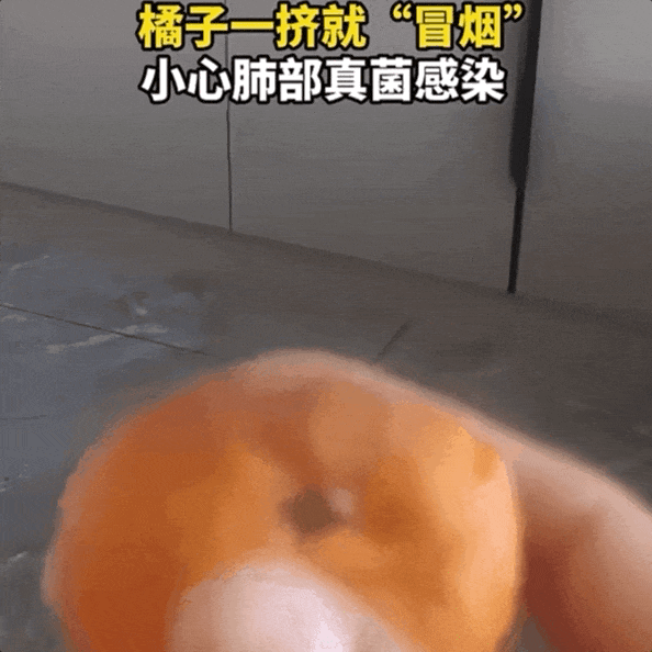 一个发霉的橘子，可卖上千元？