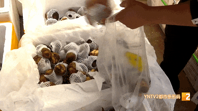 味美价廉！近期每天热销近2吨！买家来自全国……