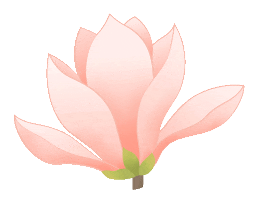 墨香溢古苑 玉兰绽新章 | 西城区老年书画研究会第二届玉兰笔会成功举办