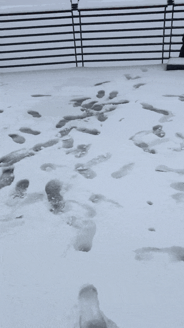寒潮抵达重庆,一夜“入冬”!雪花春花同框谁更美→ 寒潮抵达重庆,一夜“入冬”!雪花春花同框谁更美→