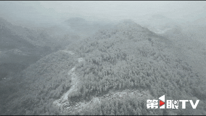 寒潮抵达重庆,一夜“入冬”!雪花春花同框谁更美→ 寒潮抵达重庆,一夜“入冬”!雪花春花同框谁更美→