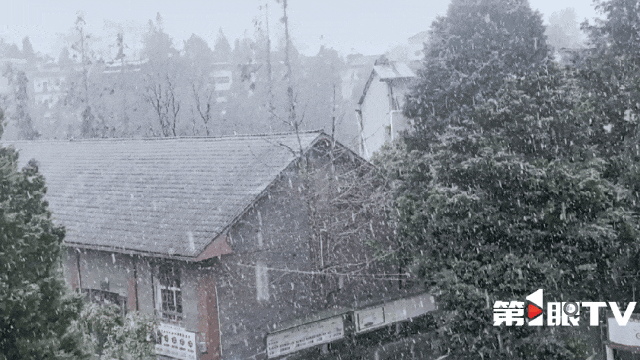 寒潮抵达重庆,一夜“入冬”!雪花春花同框谁更美→ 寒潮抵达重庆,一夜“入冬”!雪花春花同框谁更美→