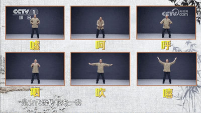 常念这6个字就能养生?五脏六腑都舒服!进来一起读→ 常念这6个字就能养生?五脏六腑都舒服!进来一起读→