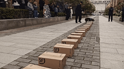 太好了是汪汪队！易被骗群体有救啦！