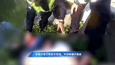 危急时刻，他们挺身而出！
