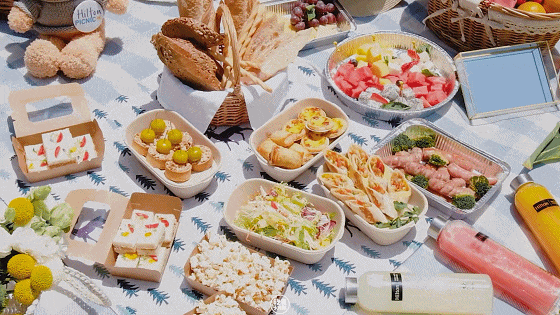 踏青出游安全指南 | 户外露营，这些防护贴士快收下