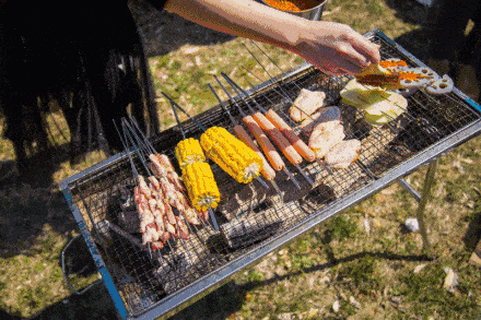 踏青出游安全指南 | 户外露营，这些防护贴士快收下