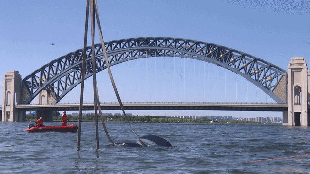 画面揪心!一车辆坠河被水流裹挟冲走,1人不幸遇难!这个黄金时间必须知道 画面揪心!一车辆坠河被水流裹挟冲走,1人不幸遇难!这个黄金时间必须知道