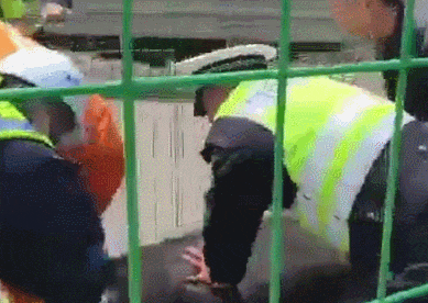 杭州高速小货车爆胎失控,被甩出15头...... 杭州高速小货车爆胎失控,被甩出15头......