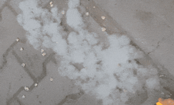 “飞絮”预警! “飞絮”预警!