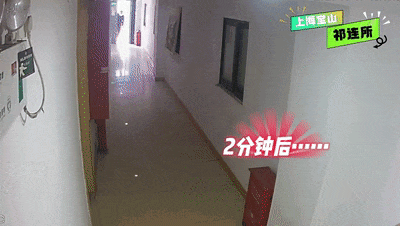 窗口办证被抓！竟是因为干了这件事……