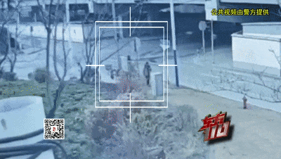 被狗咬！被人打！被车撞！他为何总是这么“倒霉”……