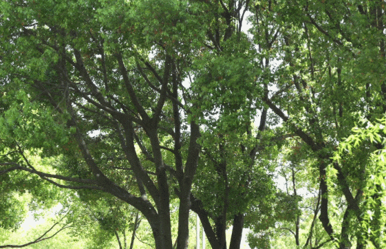 预警!较高风险!戴口罩 预警!较高风险!戴口罩