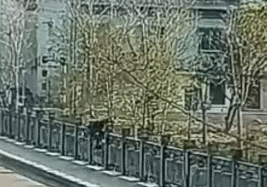 公交车开到一半,司机却停车冲下河?乘客直呼:被帅到了! 公交车开到一半,司机却停车冲下河?乘客直呼:被帅到了!