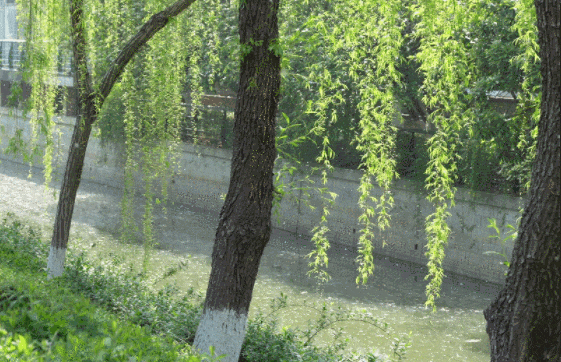 预警!较高风险!戴口罩 预警!较高风险!戴口罩