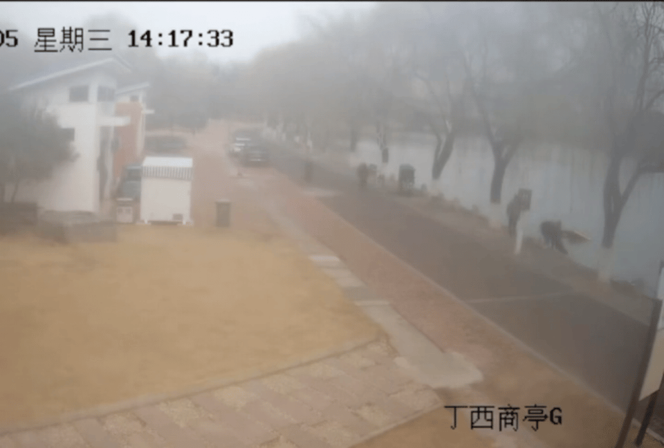 三名新疆小伙，好样的！