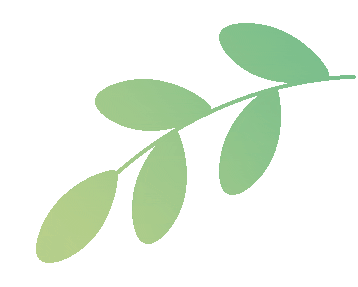 大风橙色预警!“破坏性大风”会把人吹飞吗? 大风橙色预警!“破坏性大风”会把人吹飞吗?