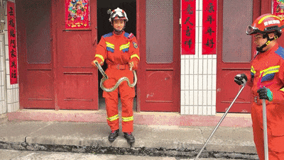 紧急提醒!贵州多地已出没!千万要小心 紧急提醒!贵州多地已出没!千万要小心