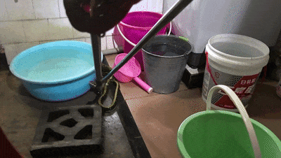 紧急提醒!贵州多地已出没!千万要小心 紧急提醒!贵州多地已出没!千万要小心