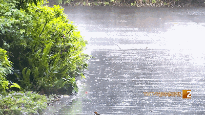 高温、阵性大风……云南气温进入“快车道”!警惕这些强对流天气 高温、阵性大风……云南气温进入“快车道”!警惕这些强对流天气